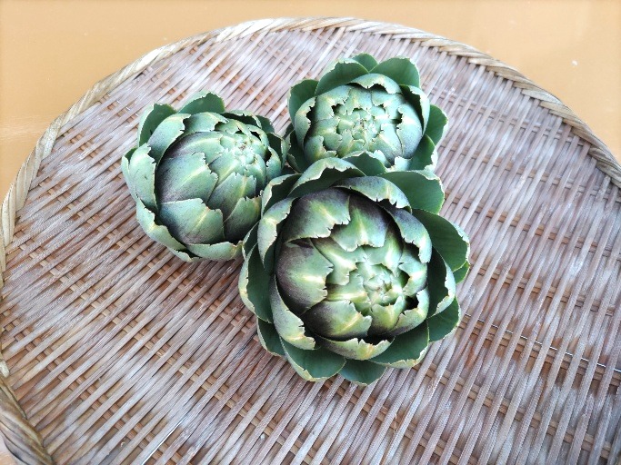 やさい畑 菜園だより